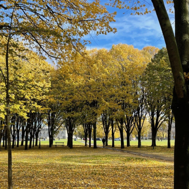 Esplanade des Invalides